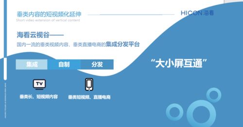 三晉論道，共話未來 ?？垂煞菰S璐璐談精品垂類內容產業化與河北網站開發的協同發展